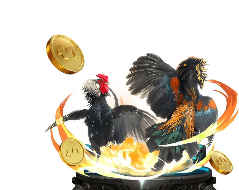 Dịch vụ hỗ trợ VIP B52